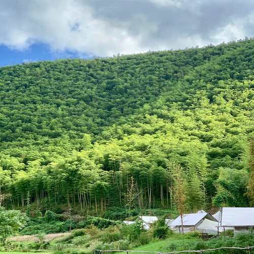 泉甲天下，城泉共生 名士荟萃，文脉绵长 山水绕城，风光独特