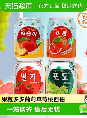 九日果汁饮料大果粒多口味组合238ml*10罐露营畅饮出游伴手囤货
