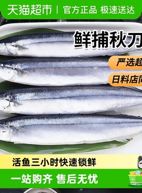 海仙部落秋刀鱼新鲜冷冻特大号日式料理烧烤海鲜水产鲜活深海鱼