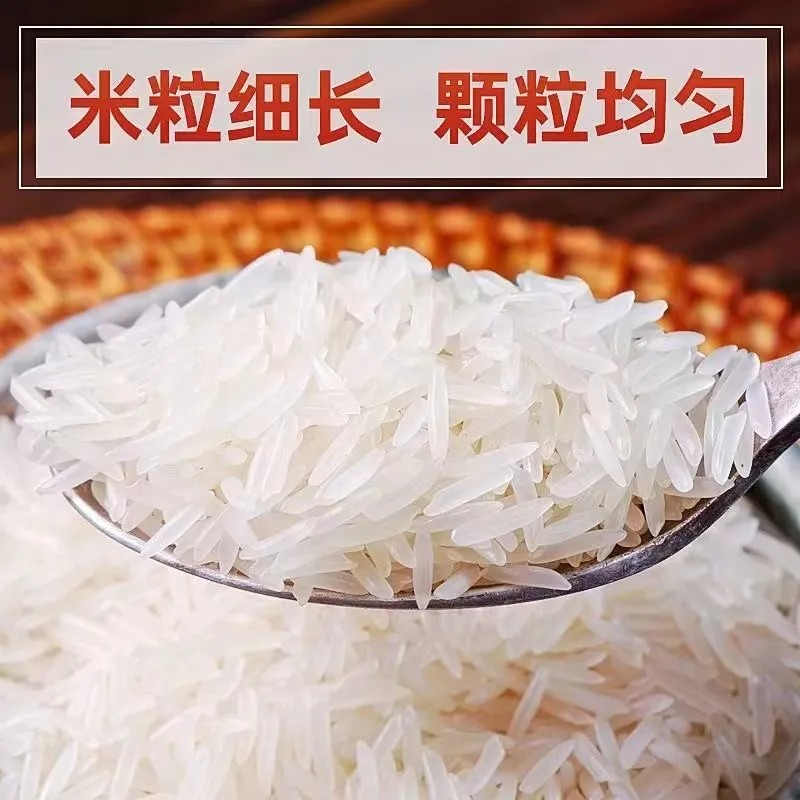 新鲜大米长粒香大米梯田大米新米独立包装