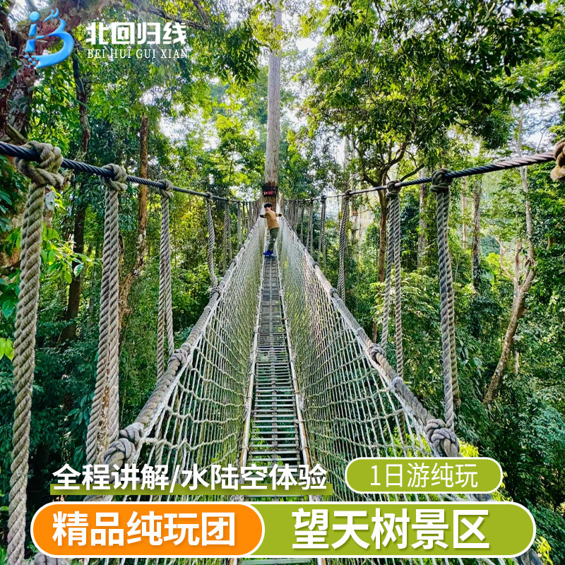 西双版纳望天树一日游