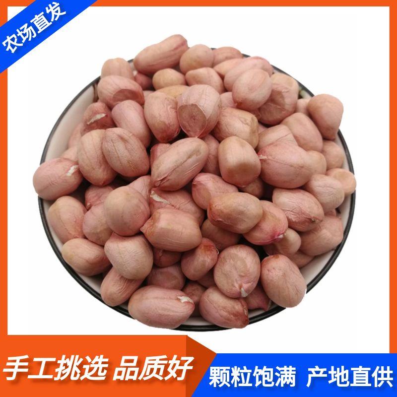 现剥新货特价精选无壳南阳白沙花生米批发粉红皮花生仁家用商用