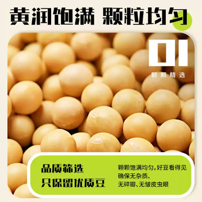 东北黄豆打豆浆豆芽专用农家自种老品种个大饱满