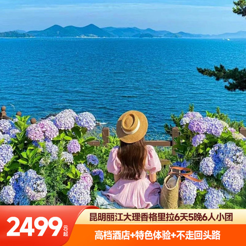 昆大丽6人团