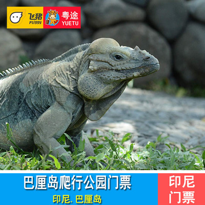 巴厘岛爬虫公园门票