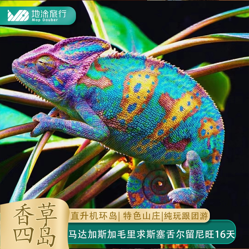 香草四国16日纯玩跟团游