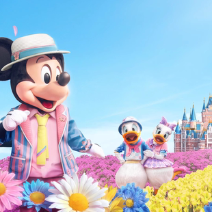 提前入园 上海迪士尼乐园酒店奇梦童趣房2天1晚乐园门票套餐