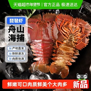 赫敏舟山琵琶虾九齿扇虾生冻个大肉多新鲜捕捞肉质细腻烹饪简单