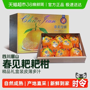 柠满园正宗四川眉山春见耙耙柑当季新鲜水果应季桔子橘子礼盒装