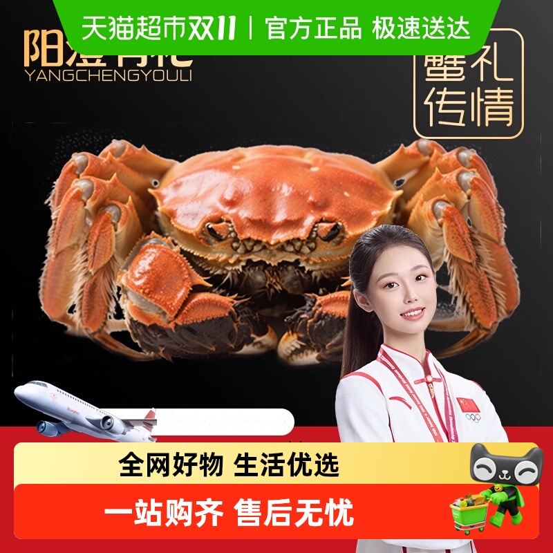 зַբзװشʻзȥٷ