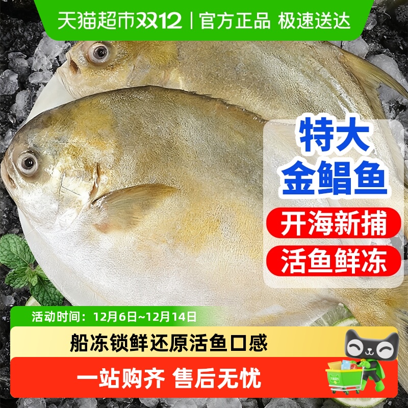 海仙部落金鲳鱼特大鲜活新鲜冷冻