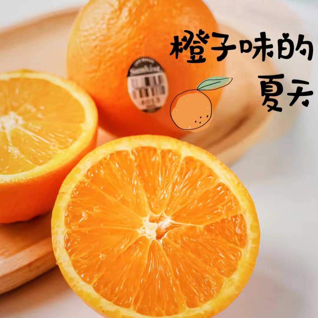 ĳӦˮƷС4-8ʵң25.9Ԫ