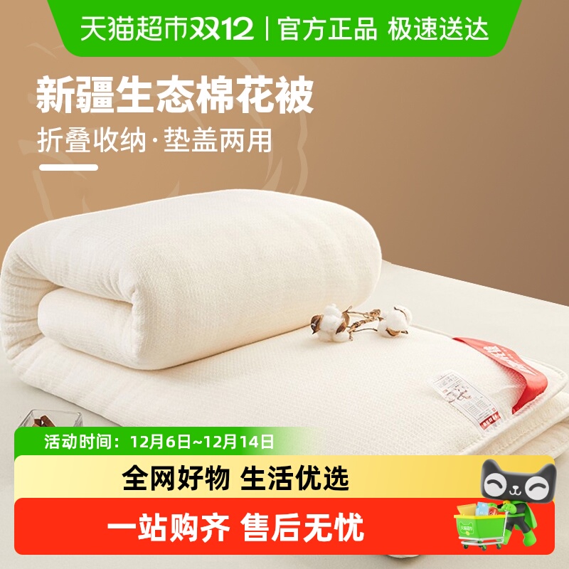 杜威卡夫被褥单人牛奶绒材质床垫