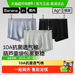 蕉内银皮300S平角内裤男士纯棉透气裆裤衩四角短裤男生