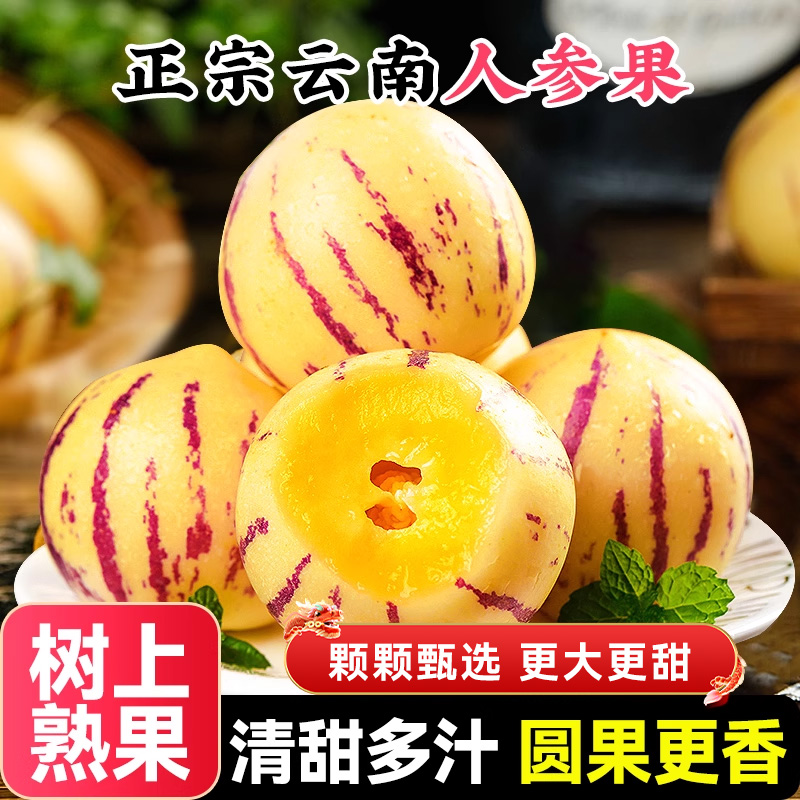 云南石林人参果新鲜应当季水果树上熟七彩黄肉生圆果人果整箱包邮
