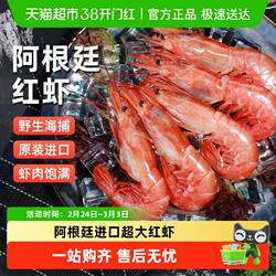 阿根廷红虾特大红虾进口超大新鲜活冷冻刺身级水产船冻礼盒