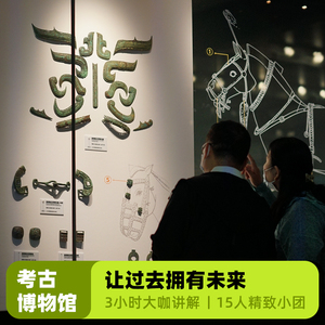 bikego西安 陕西考古博物馆一日游 大咖3小时讲解含门票15人小团