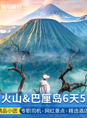 印尼泗水火山巴厘岛6天5晚布罗莫bromo宜珍ijen火山罗威纳佩妮达
