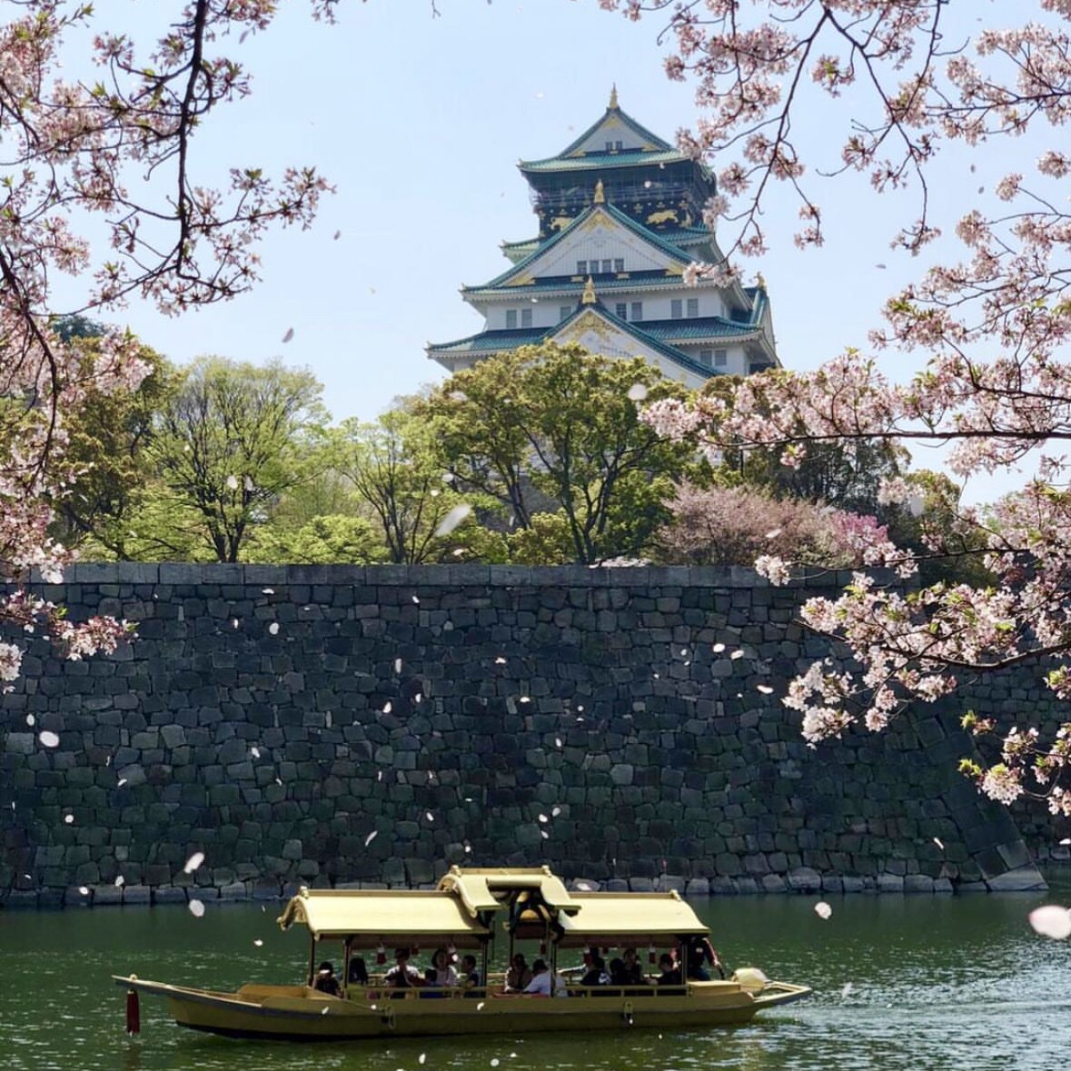 上海直飞@日本6天跟团旅游/东京大阪京都奈良富士山/升级温泉酒店