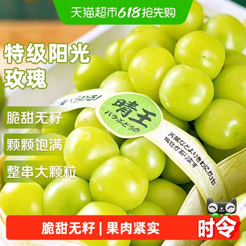 京运达当季阳光玫瑰葡萄脆甜无籽