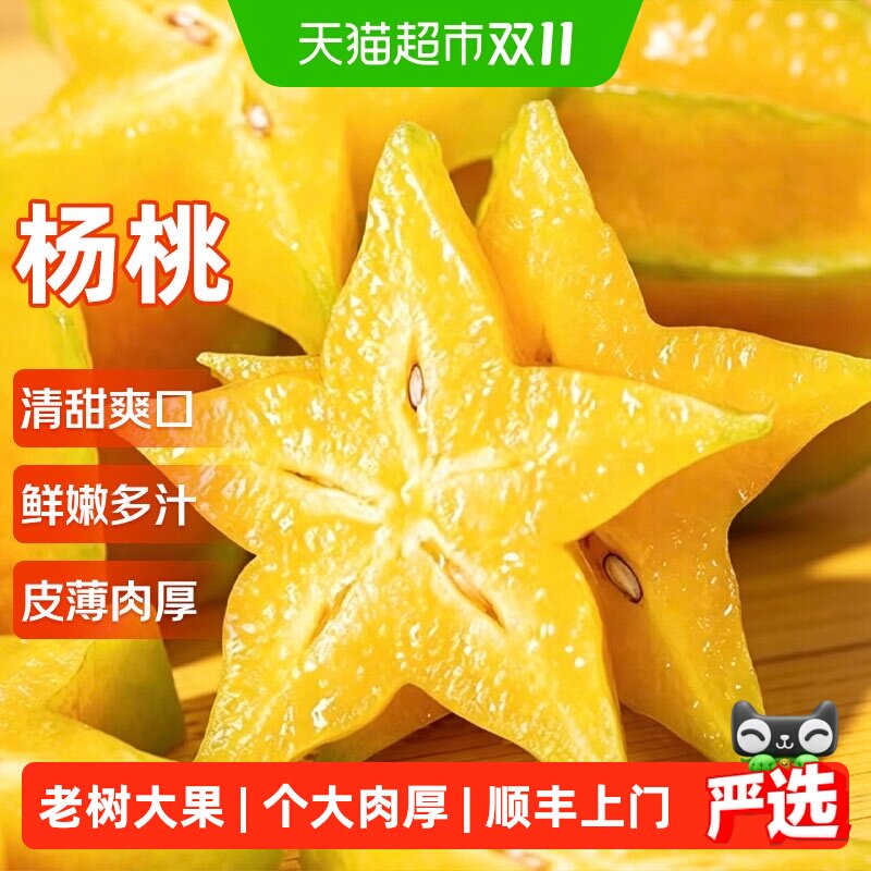 寻天果蔬杨桃新鲜水果大果酸甜杨桃广东星星果洋阳桃黄色整箱装杨