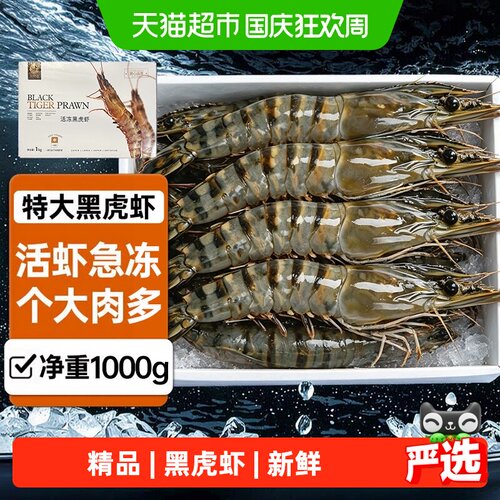 黑虎虾大虾新鲜鲜活速冻超大海虾