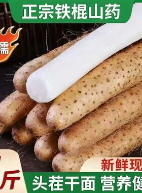 新鲜铁棍山药正宗垆土铁杆淮山农家小白嘴非河南焦作垆土蔬菜5斤