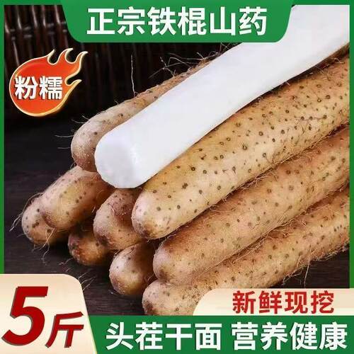 新鲜铁棍山药正宗垆土铁杆淮山农家小白嘴非河南焦作垆土蔬菜5斤