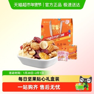 恒康食品坚果加每日坚果健康屋顶盒混合干果果仁过年送人年货礼盒