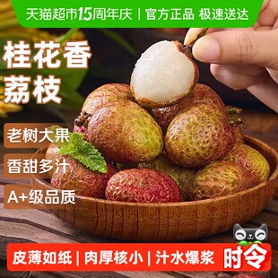 海南桂花香荔枝应当季新鲜水果非妃子笑孕妇斤