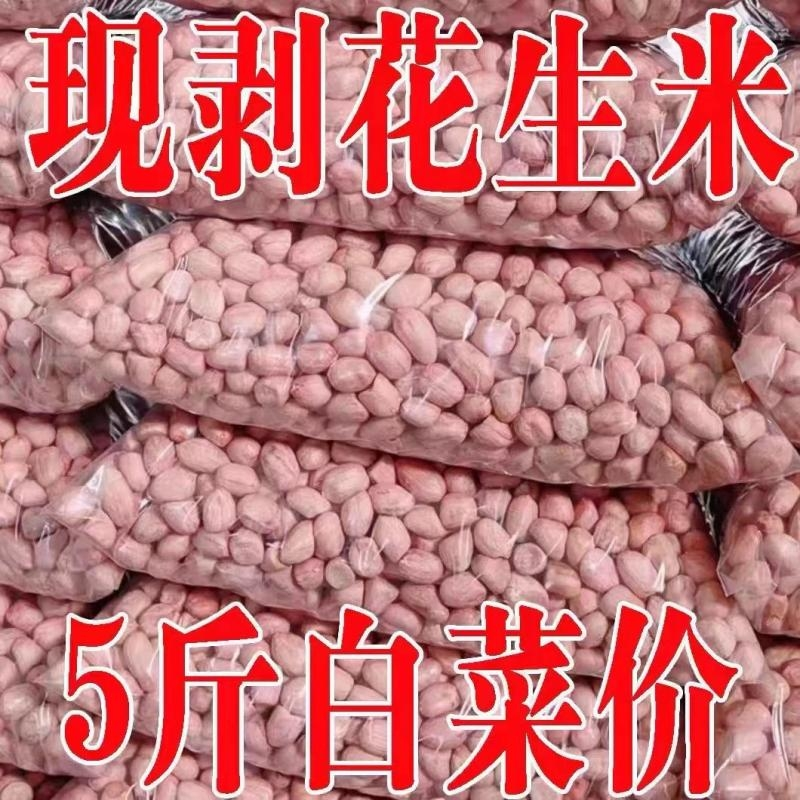 不带壳精品白沙花生仁现剥新货花生米农家粉皮新鲜颗粒饱满批发价