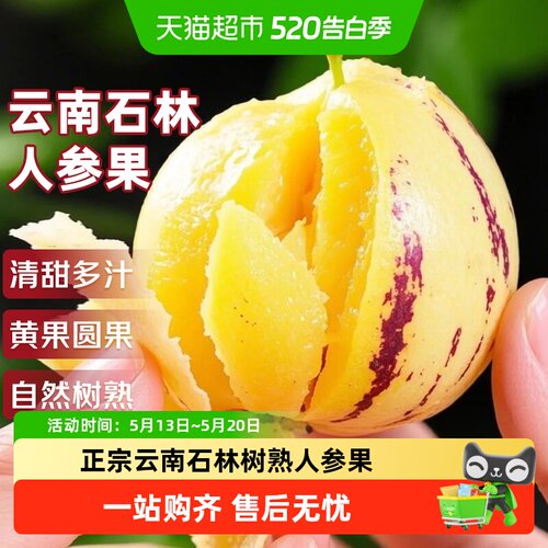 寻天果蔬云南人参果软嫩多汁