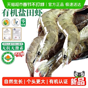 有机无抗盐田虾大虾鲜活速冻特大鲜对虾白虾渤海