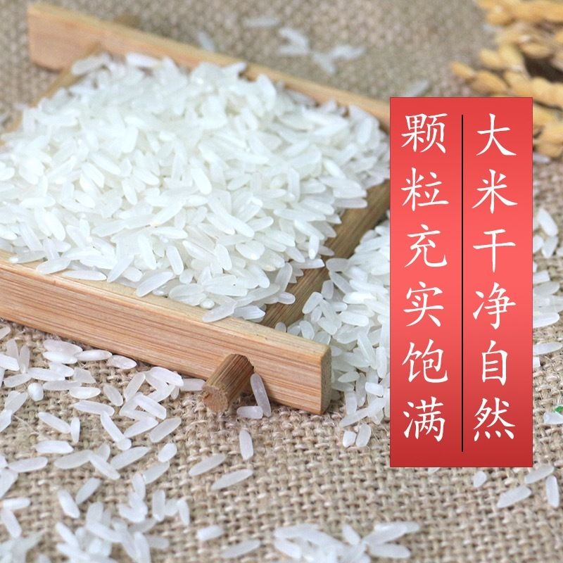 正宗贵州梯田长粒香米当季新米晚稻煲仔饭大米10kg