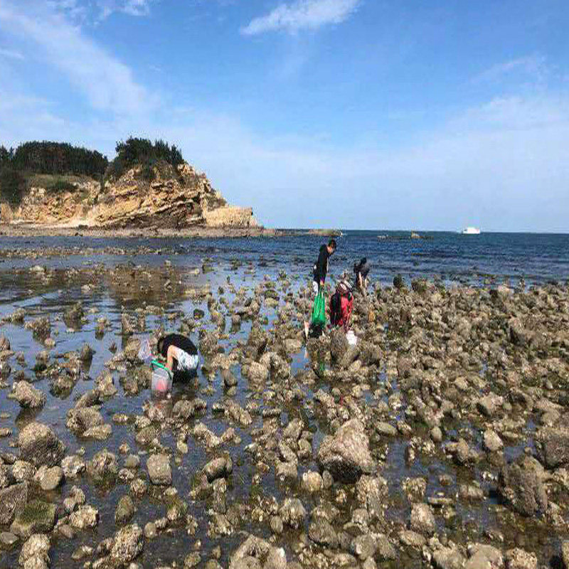 [小石岛-休闲牧场门票(赶海拾贝)]威海小石岛赶海公园门票成人票