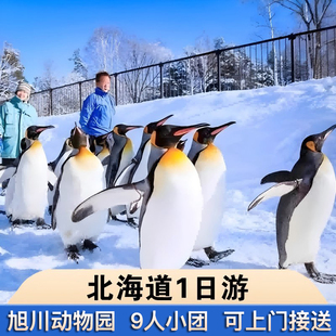 北海道一日游可选小团 可上门接旭川动物园 清池森林露台