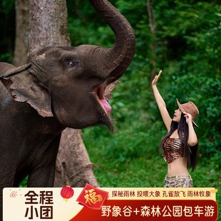 西双版纳雨林牧象野象谷原始森林公园一日跟团游2-8人小团私家团