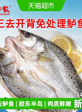 千牛农青岛海鲈鱼开背鲜活