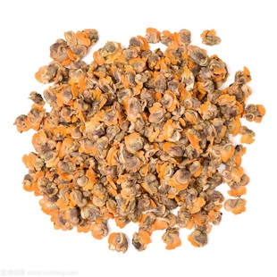 血蛤肉鲜活毛蛤肉野生手工现剥毛蛤蜊肉毛蚶肉新鲜麻蛤肉海鲜水产