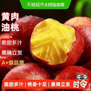 红皮黄肉油桃应当季新鲜时令水果蜜脆桃子毛桃蟠桃水蜜桃整箱孕妇