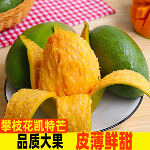 正宗攀枝花凯特芒果新鲜水果批发价一整箱应季当季大芒果核薄肉厚