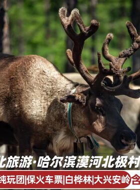 北极村漠河6天纯玩小团