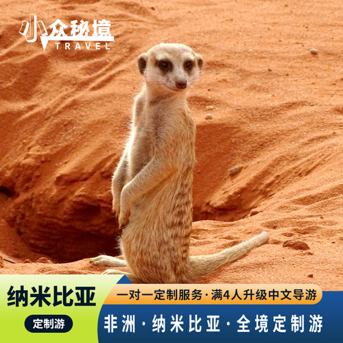 世界上古老的苏丝斯黎红沙漠、极美星空，按下暂停键的静止山谷死亡谷 大西洋双体船出海游，观鹈鹕、海豚、鲸鱼，与海豹嬉戏，品新鲜美味生蚝 三明治湾四驱冲沙，惊险刺激，寻找沙漠动物，观沙海相连美景 星级酒店与特色山庄 Lodge 结合, 多样非洲风情住宿
