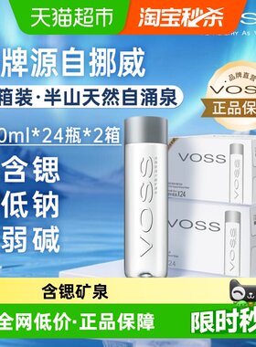 VOSS芙丝500ml*24*2箱天然矿泉水