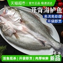 云储生活海鲈鱼开背新鲜冷冻鲜活青岛深海鱼七星海卢鱼水产烤鱼