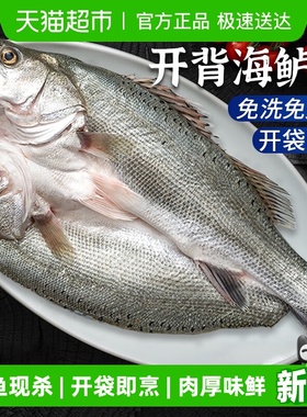 云储生活海鲈鱼开背新鲜冷冻鲜活青岛深海鱼七星海卢鱼水产烤鱼