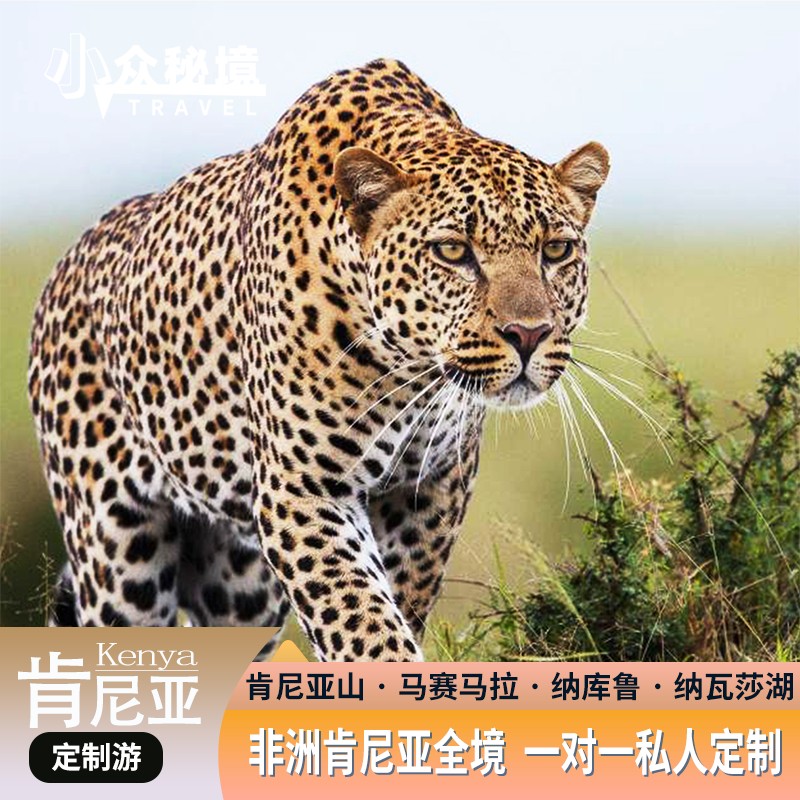 小众秘境 ·非洲肯尼亚一对一专属定制旅行国内出发玩核心景点