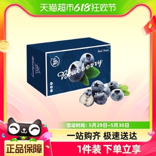 盒新鲜水果顺丰 约125g 6盒礼盒装 云南蓝莓超大18mm 包邮