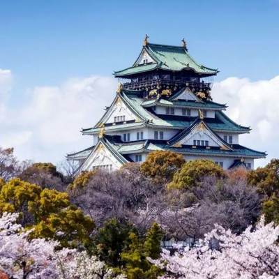 日本旅游  大阪出发滋贺琵琶湖白居神社八幡堀旧竹林院纯玩一日游