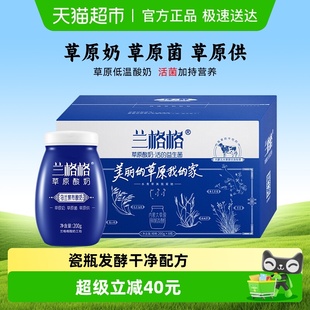 8瓶 早餐组合200g 内蒙古兰格格瓷瓶酸奶传统老酸奶 非遗技艺